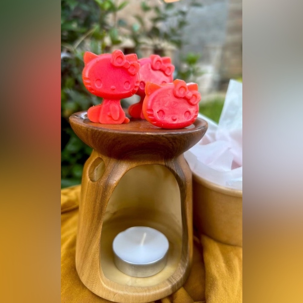 Hello kitty x watermelon wax melts